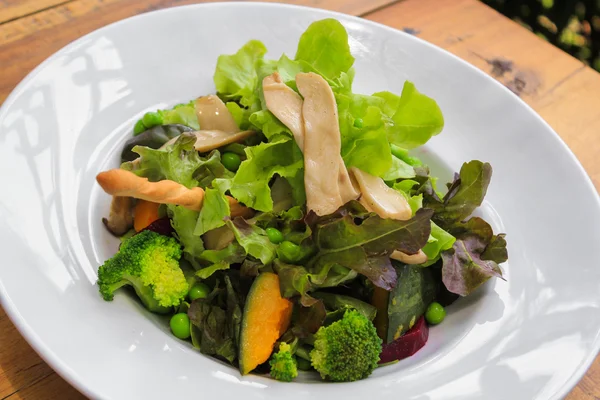 Ensalada de verduras hidropónicas mixtas —  Fotos de Stock