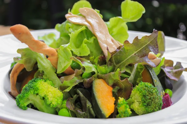 Salada hidropônica mista de legumes — Fotografia de Stock