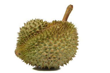 Meyvelerin kralı, beyaz arka planda durian.