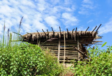 Tay tarzında pavilion thatched çatı ile