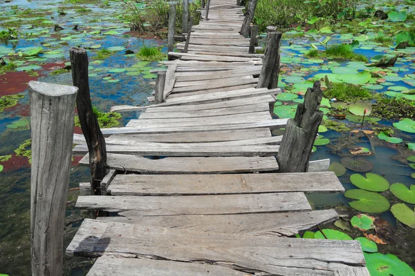 Дерев'яний міст у ставку лотоса — стокове фото