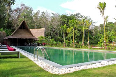 Yüzme Havuzu ve doğal