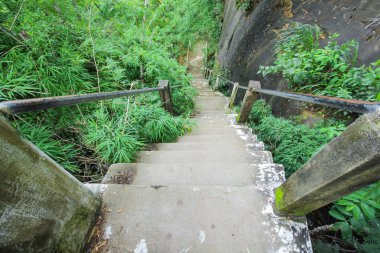 Ormanda taş merdivenler