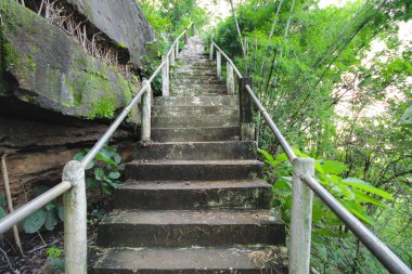 Ormanda taş merdivenler