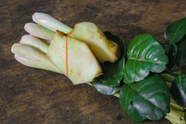 havlıcan, Bergamot yaprakları ve Limon otu