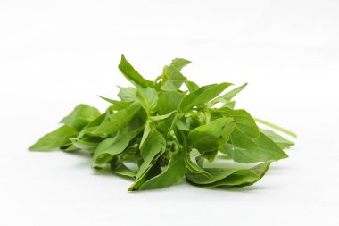 Ağarmış fesleğen veya limon fesleğen