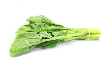 Taze yeşil Çin lahanası