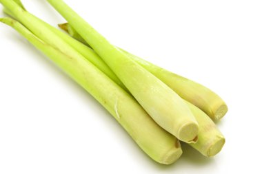 Beyaz arkaplanda limon otu