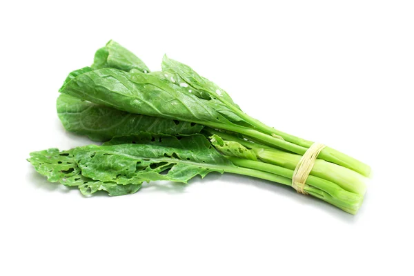 Fresh green chinese kale — Stock Photo, Image