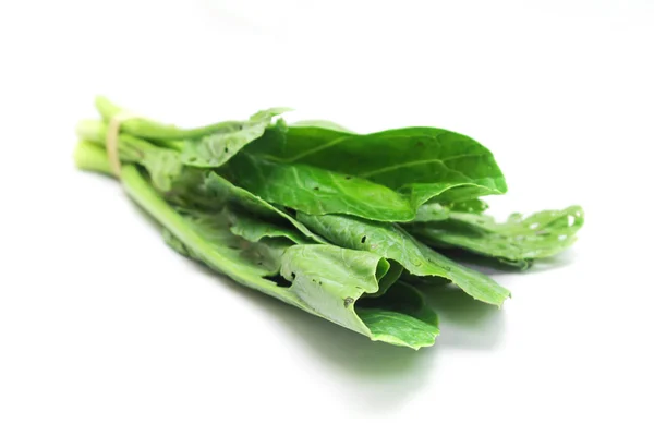 Fresh green chinese kale — Stock Photo, Image