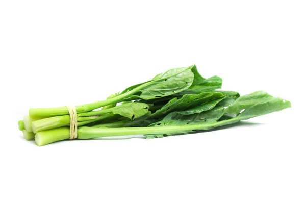 Couve chinesa verde fresca — Fotografia de Stock