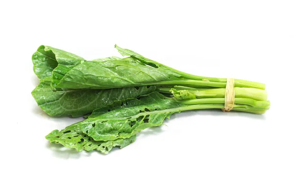 Φρέσκο πράσινο κινέζικο λάχανο — Φωτογραφία Αρχείου