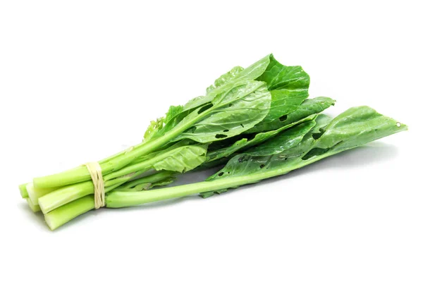 Kale proaspete chinezești verzi — Fotografie, imagine de stoc
