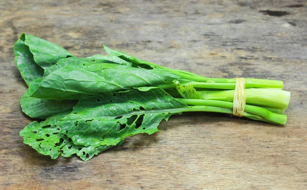 신선 한 녹색치니 칼 — 스톡 사진