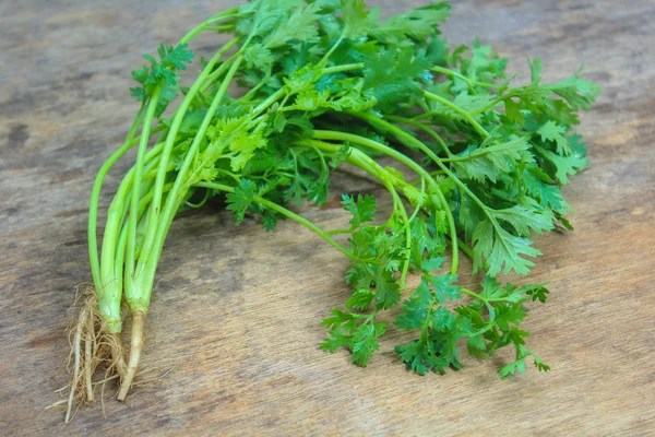 Fresh coriander leaves on wooden background — Stock Photo, Image