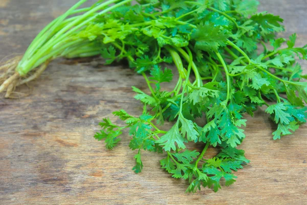 Hojas de cilantro fresco sobre fondo de madera — Foto de Stock