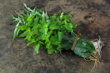 Tay sebze, nane, taze soğan, limon yaprağı ve Vietnamca kişniş