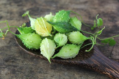 yeşil acı su kabakları kaşık üzerinde