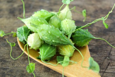 yeşil acı su kabakları kaşık üzerinde