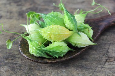 yeşil acı su kabakları kaşık üzerinde