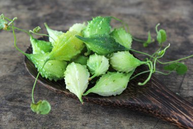 yeşil acı su kabakları kaşık üzerinde