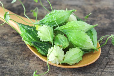 yeşil acı su kabakları kaşık üzerinde