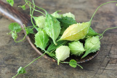 yeşil acı su kabakları kaşık üzerinde