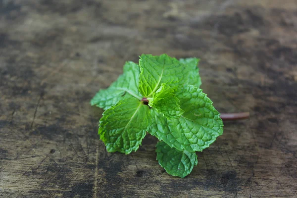 Fresh mint on wooden background Stock Picture