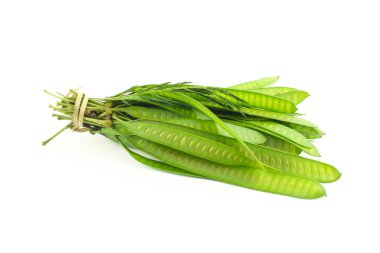 Yeşil tohum beyaz Popinac, kurşun ağaç veya vahşi beyaz arka plan üzerinde izole demirhindi