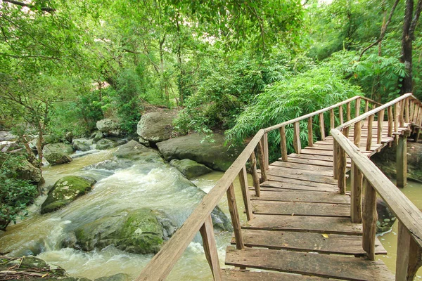 滝、カラシン、タイで素敵な木製の橋 — ストック写真