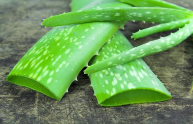 Aloe Vera (Aloe barbadensis Mill., Star kaktüs, Aloe, Aloin, Jafferabad veya Barbados) Cilt bakımı için çok yararlı bir bitkisel ilaç dilim
