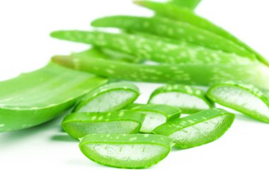 Aloe Vera (Aloe barbadensis Mill., Star kaktüs, Aloe, Aloin, Jafferabad veya Barbados) Cilt bakımı için çok yararlı bir bitkisel ilaç dilim