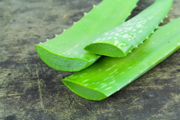 Snijd Aloë (Aloe barbadensis Mill., Star cactus, Aloë, Aloin, Jafferabad of Barbados) een handig kruidengeneeskunde voor skin care — Stockfoto