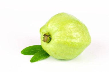 Beyaz arka planda taze yeşil guava meyvesi
