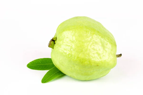 Fruta guayaba verde fresca sobre fondo blanco —  Fotos de Stock