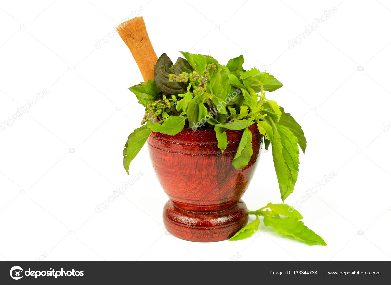 holy basil svenska holy basil svenska