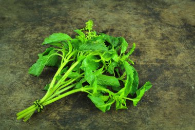 Kutsal fesleğen veya sıcak fesleğen, Ocimum kutsal