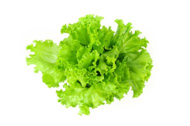 Beyaz arka plan üzerinde marul salata yaprağı, izole