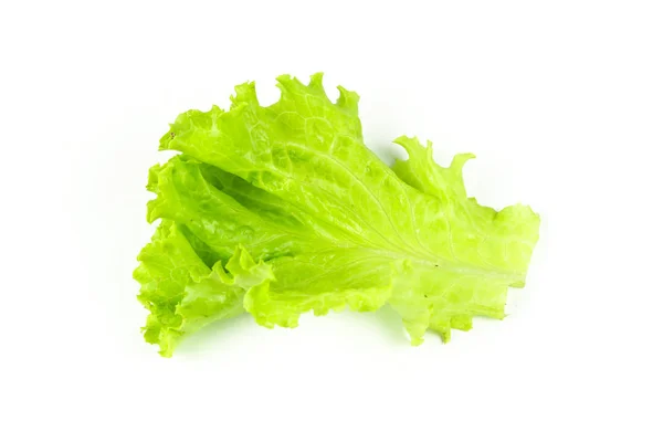Daun salad, Selada diisolasi pada latar belakang putih — Stok Foto