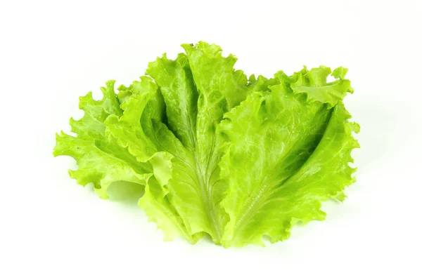 Folha de salada, Alface isolada sobre fundo branco — Fotografia de Stock
