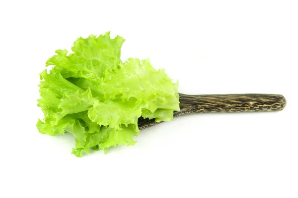Leveles saláta, saláta elszigetelt fehér background — Stock Fotó