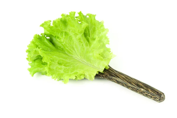 Leveles saláta, saláta elszigetelt fehér background — Stock Fotó