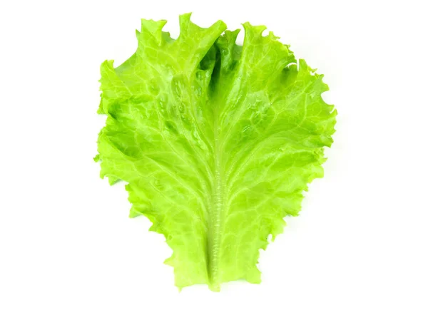 Hoja de ensalada, Lechuga aislada sobre fondo blanco — Foto de Stock