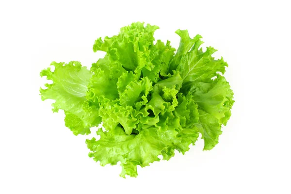 Salad leaf, Lettuce isolated on white background — Stock Photo, Image
