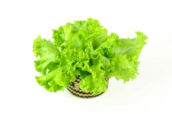 Foglia di insalata, lattuga isolata su fondo bianco — Foto Stock