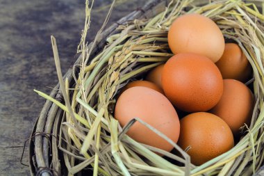 Nest tavuk yumurta ahşap arka plan üzerinde kahverengi yumurta