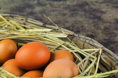 Nest tavuk yumurta ahşap arka plan üzerinde kahverengi yumurta