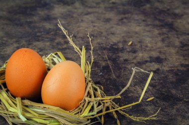 Nest tavuk yumurta ahşap arka plan üzerinde kahverengi yumurta