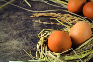 Nest tavuk yumurta ahşap arka plan üzerinde kahverengi yumurta