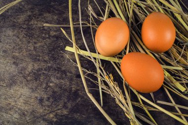 Nest tavuk yumurta ahşap arka plan üzerinde kahverengi yumurta